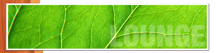 LOUNGE �C���[�W
