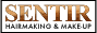 SENTIR�o�i�[