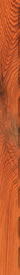 woodbase